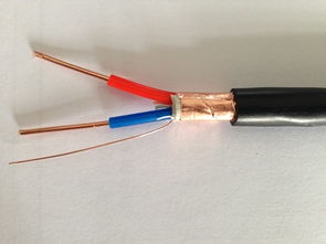 ZR-KVVP2-16×2.5 阻燃控制屏蔽電纜 國標品質(zhì)，廠價直銷的專業(yè)之選