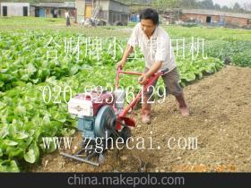 山區(qū)丘陵新動(dòng)力 6匹全齒輪耕地機(jī)助力大棚農(nóng)業(yè)增效