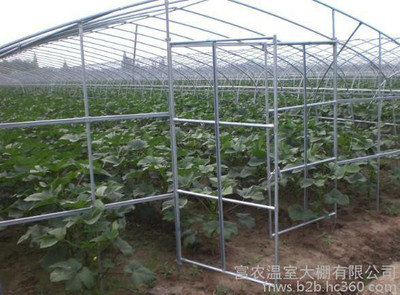 天津富農(nóng)溫室大棚 打造現(xiàn)代農(nóng)業(yè)的四季溫室家園