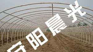 日光溫室大棚骨架與食用菌大棚骨架——現(xiàn)代農(nóng)業(yè)的關(guān)鍵支撐