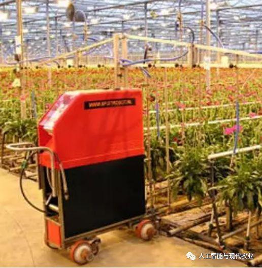 科技賦能田野 農(nóng)業(yè)機(jī)器人如何重新定義幸福農(nóng)耕